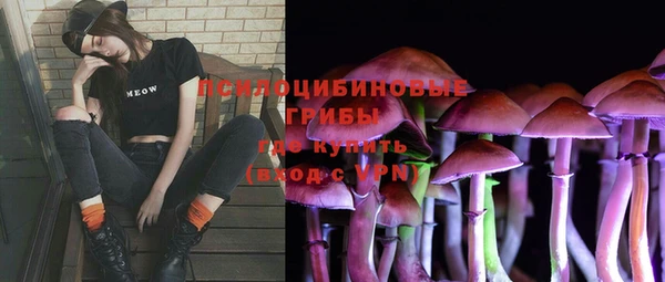 spice Балабаново