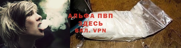 прущие крисы Балахна