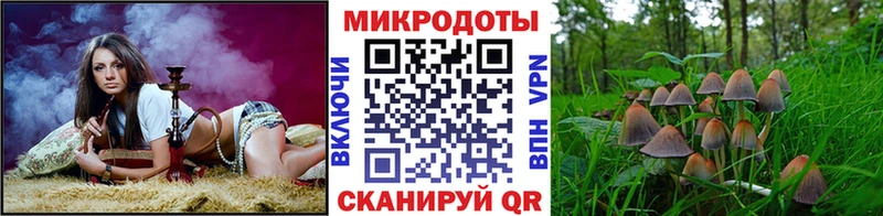 сайты даркнета официальный сайт  Удачный  Галлюциногенные грибы мухоморы 
